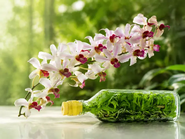 Toh Garden