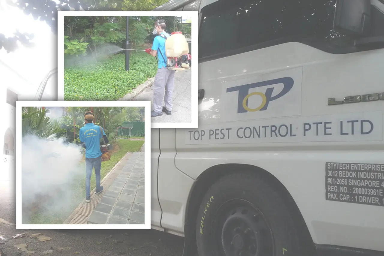 Top Pest Control