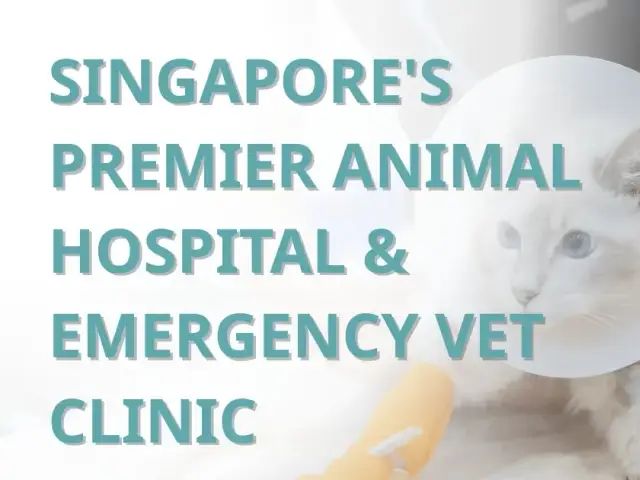 Veterinary Rehabilitation and Hydrotherapy Centre