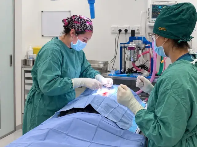 Vets for Life Animal Clinic