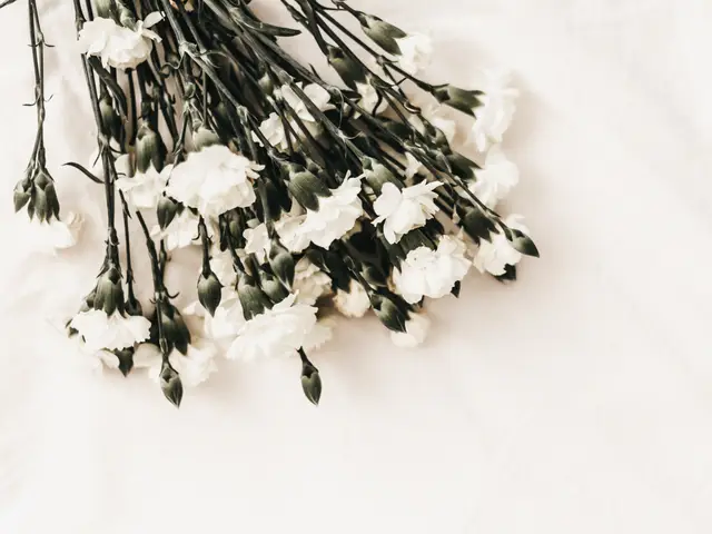 White Lilies Funeral