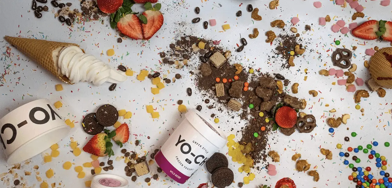 Yo-Chi Frozen Yogurt - Singapore